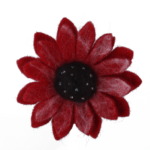 bro2-blume-orange