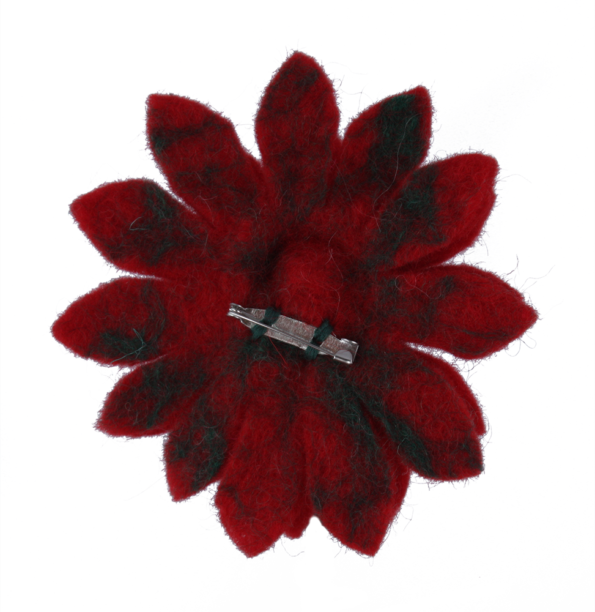 bro2-blume-orange-back