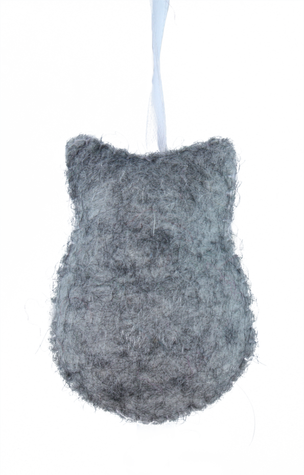 ws20-eule-back