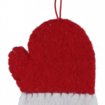 ws6-mitten